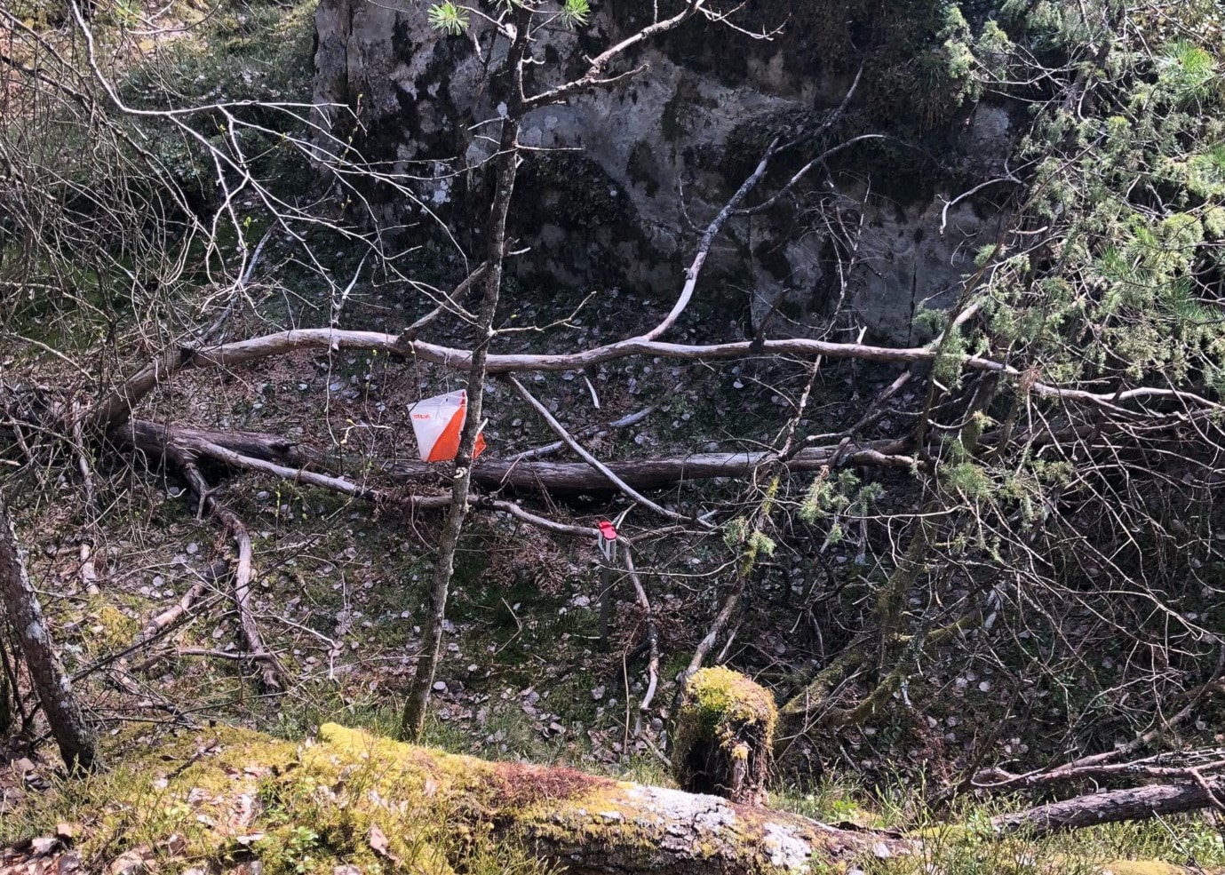 Felles opplegg pinseløp Hamar